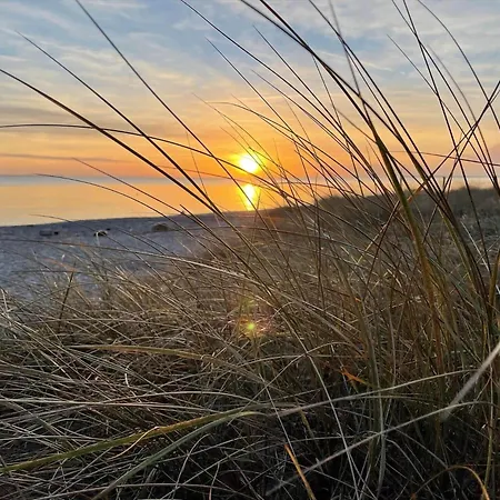 30487-odder-ornevej-24-a *